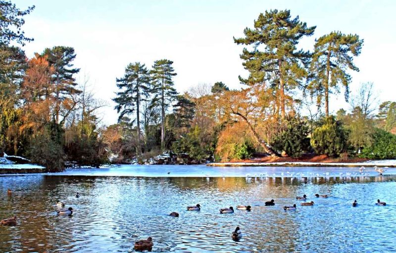 views over bedford park lake.jpg